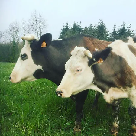 La Besnerais بيت للعطل Saint-Laurent-de-Terregatte