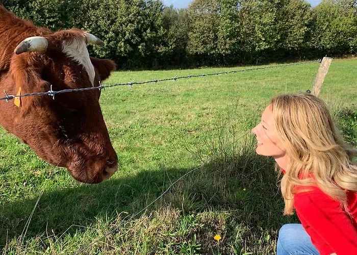 La Besnerais Casa vacanze