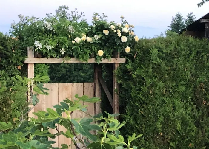 Casa vacanze La Besnerais Saint-Laurent-de-Terregatte