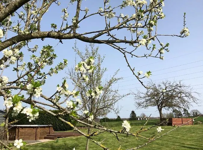 Casa vacanze La Besnerais Saint-Laurent-de-Terregatte