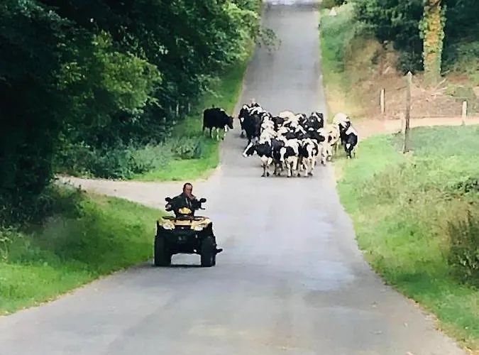 La Besnerais Casa vacanze Saint-Laurent-de-Terregatte