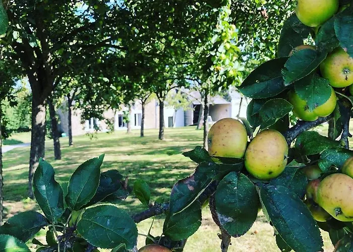 Casa vacanze La Besnerais Saint-Laurent-de-Terregatte