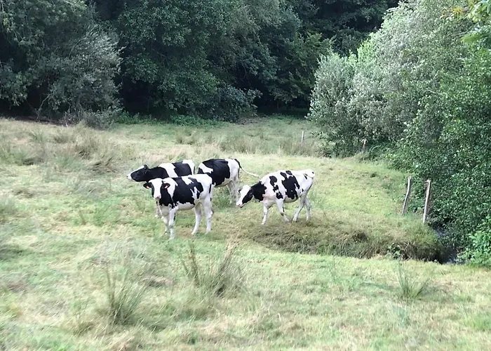 La Besnerais Casa vacanze Saint-Laurent-de-Terregatte