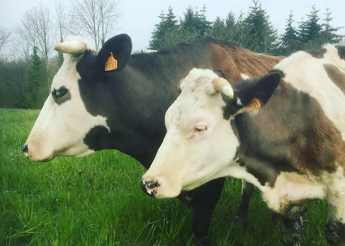 La Besnerais Casa vacanze Saint-Laurent-de-Terregatte
